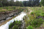 Natuurbegraafplaats Christinalust